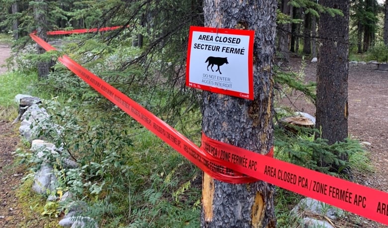 Lobo ataca a familia en Canadá