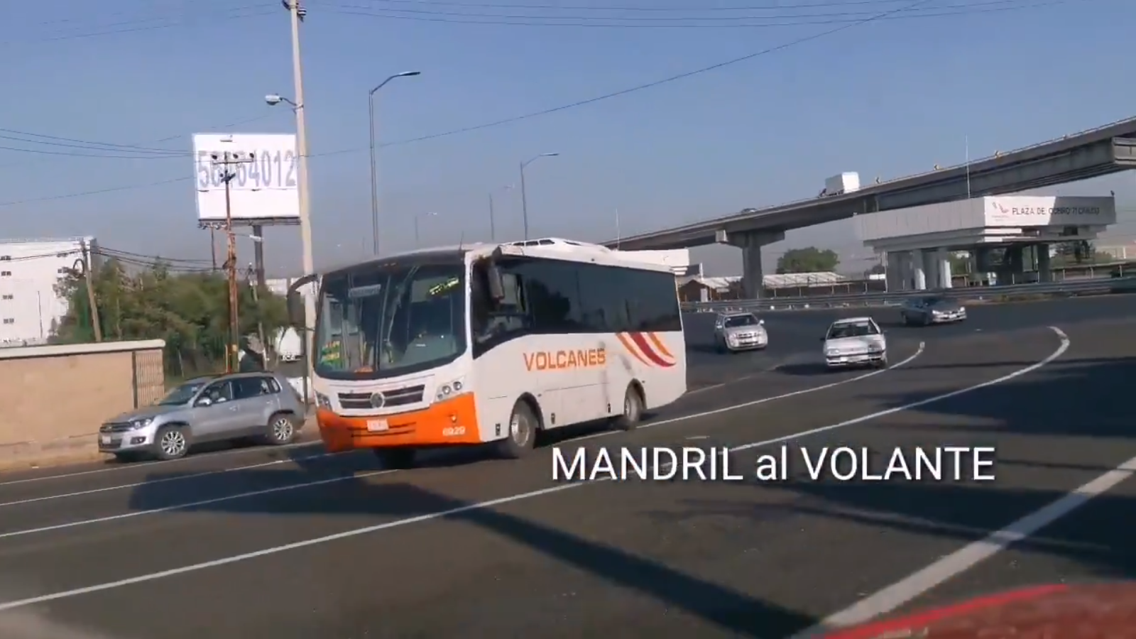 Mandril al Volante