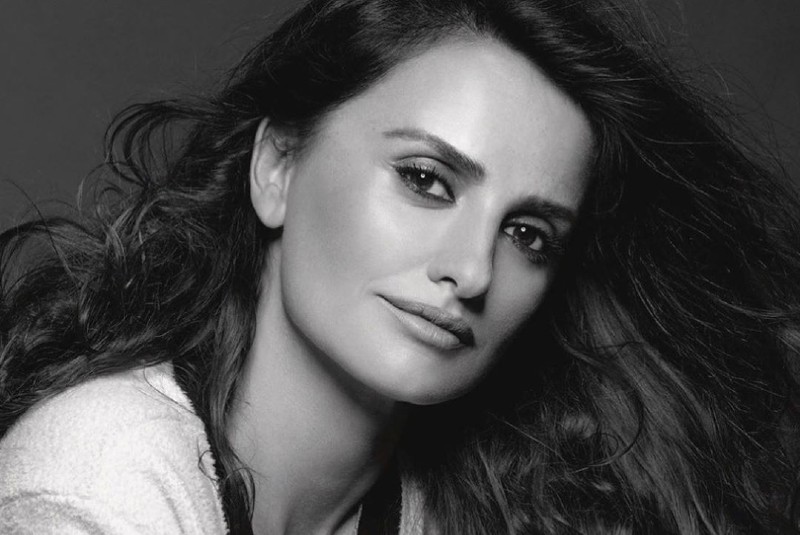 Penélope Cruz Wasp Network