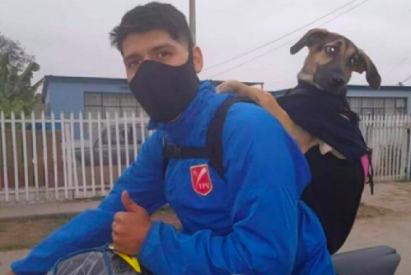 joven-adopta-perrita-perú