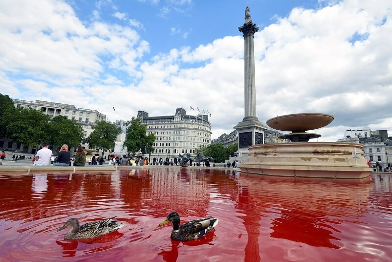 activistas-animales-fuentes-londres