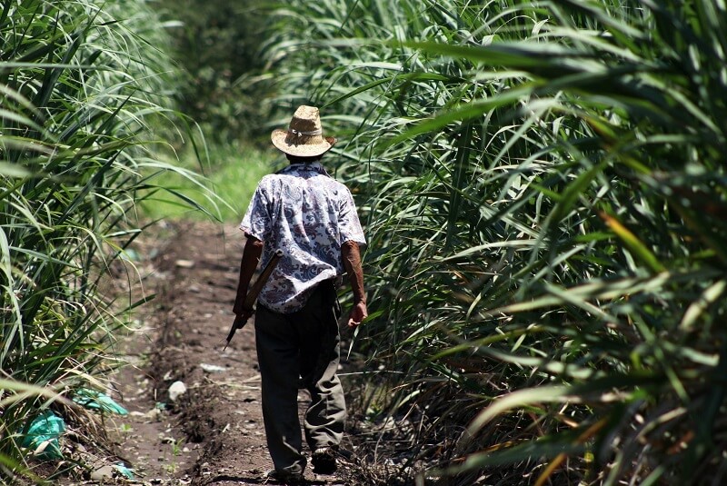 campesinos-coahuila-whatsapp