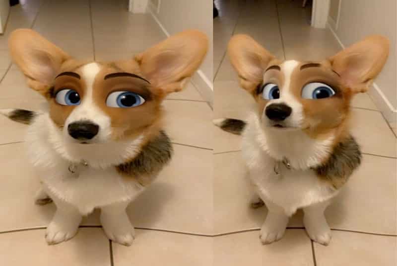 filtro-perritos-snapchat-personaje-de-disney