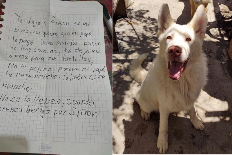 perrito-simón-niño-sigue-mandándole-cartitas