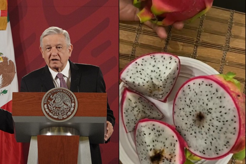 AMLO