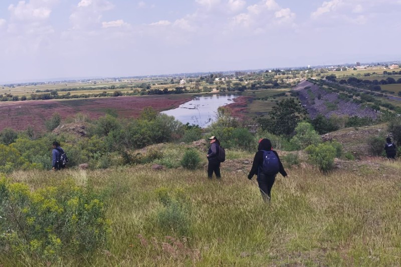 fosas clandestinas de Guanajuato