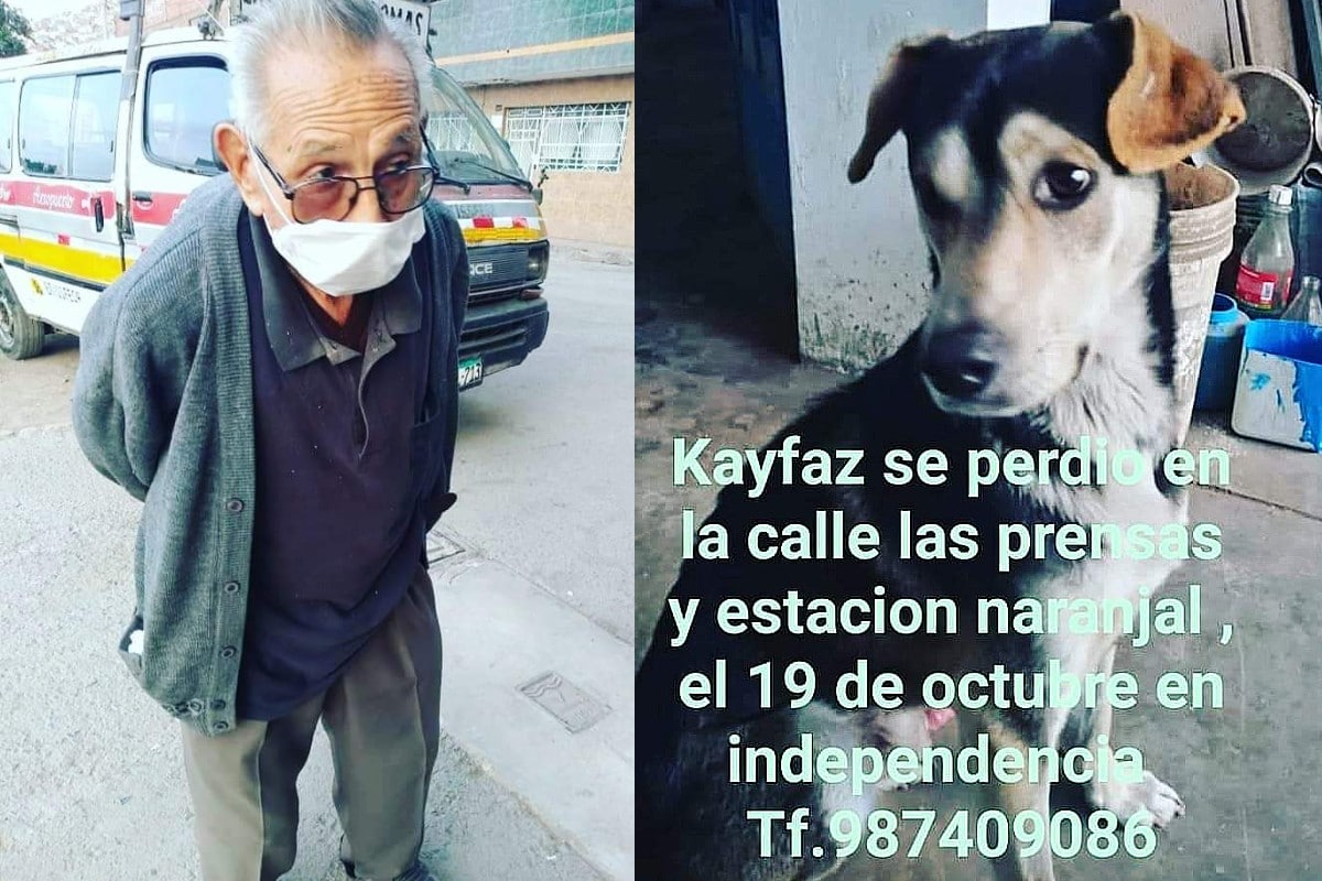 Hombre busca a su cachorro