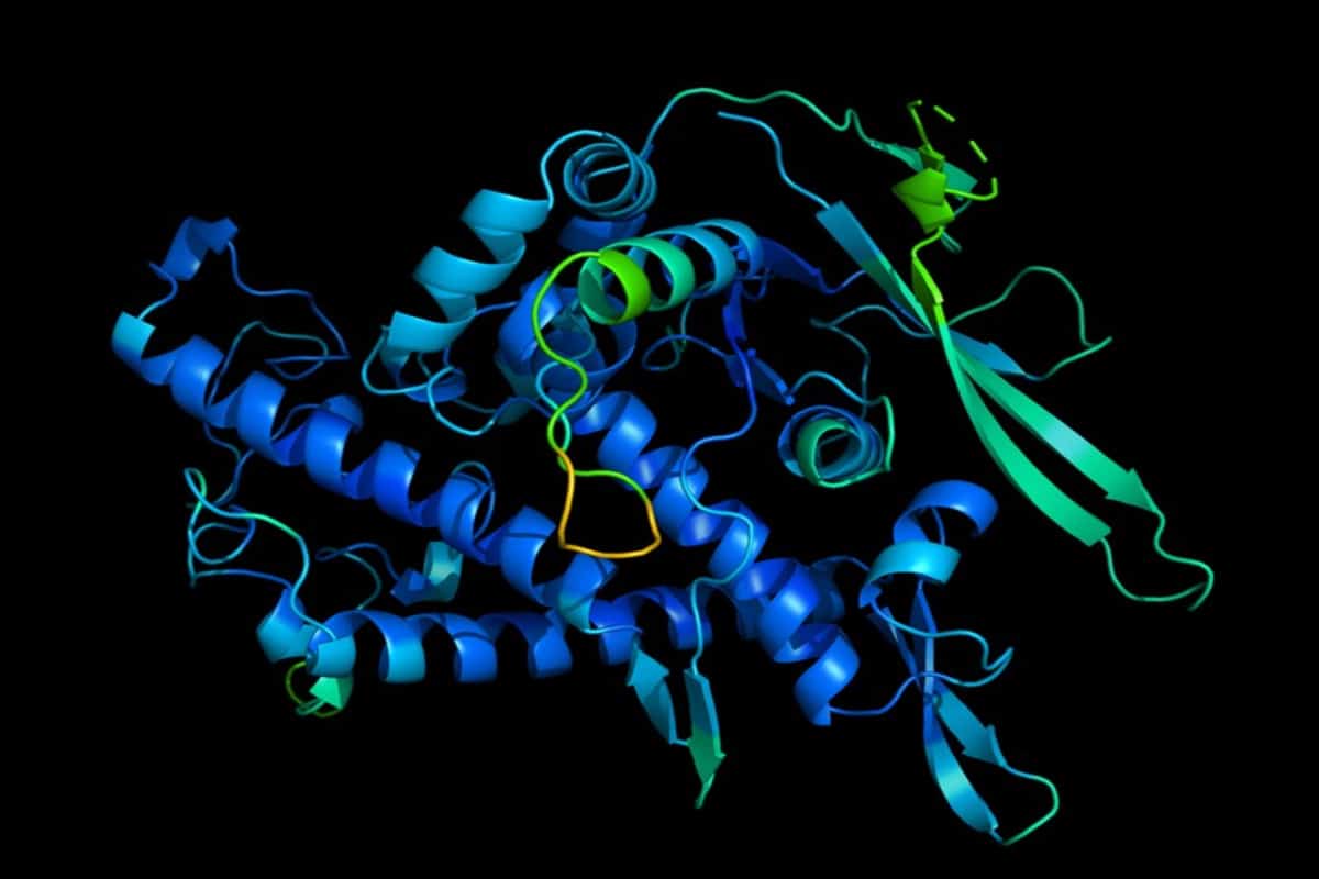 Una inteligencia artificial de la compañía de Google, DeepMind, logró resolver un enigma para la biología al determinar la forma en tercera dimensión (3D) de una proteína a partir de su secuencia de aminoácidos