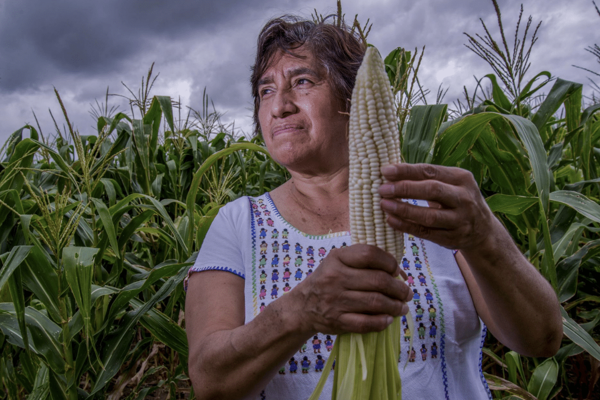 agricultura