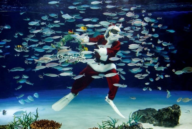 santa submarina