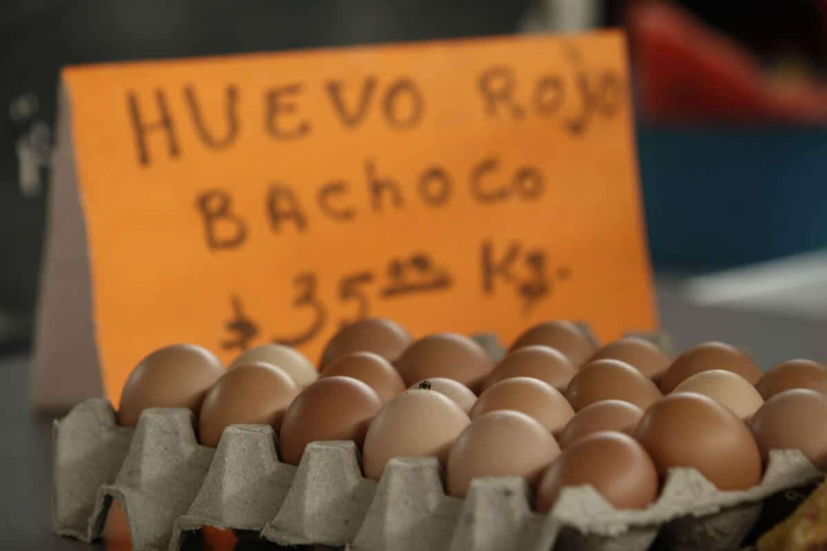 Los productos que registraron una mayor variación mensual fueron: la electricidad, los servicios profesionales, el huevo, el pollo, la carne de cerdo