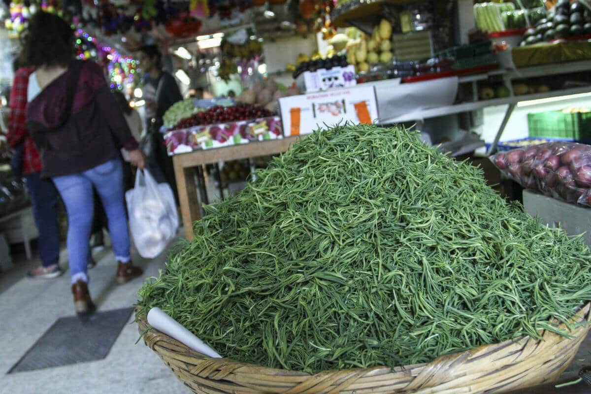 Para las alcaldías de Tláhuac y Xochimilco, se considera una producción total de mil 553 toneladas de este cultivo