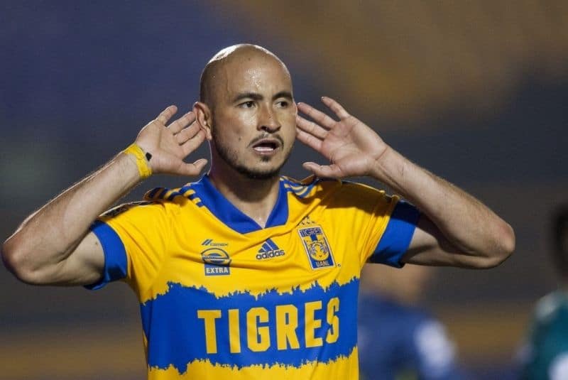 tigres