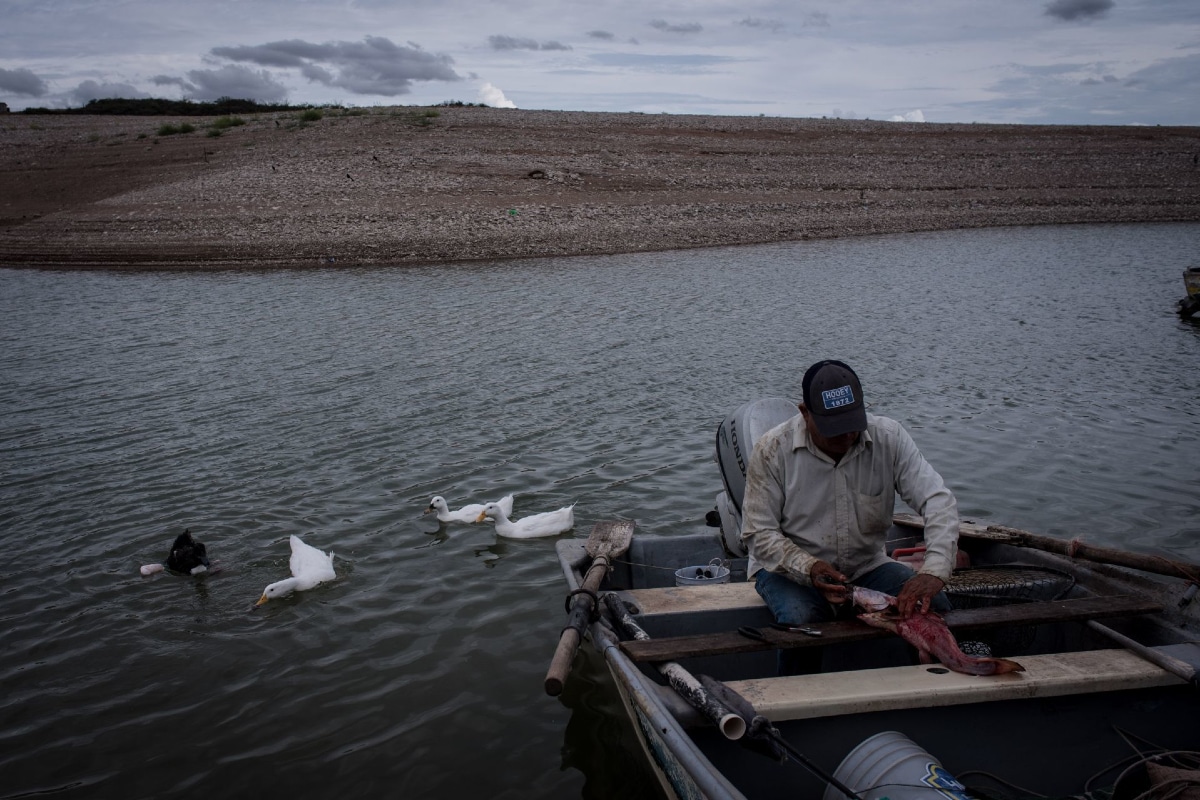 Comisión Nacional de Acuacultura y Pesca