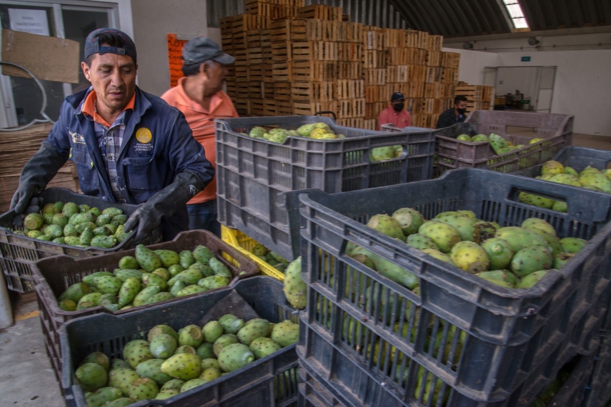 Recordó que los oficiales de inspección de ambos países validan la información para continuar con el proceso de importación en el país de destino