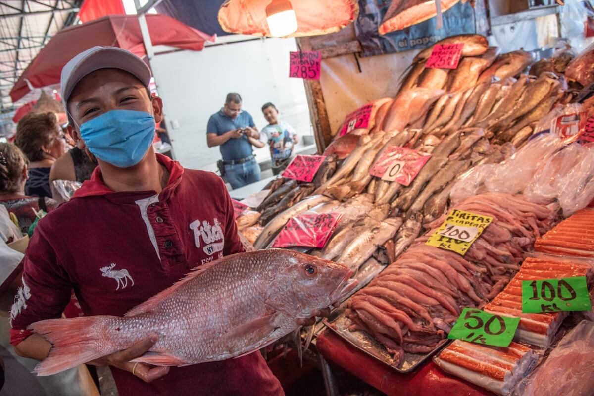 Conapesca resaltó que en México se produce una amplia variedad de alimentos de alto valor proteínico, excelente sabor