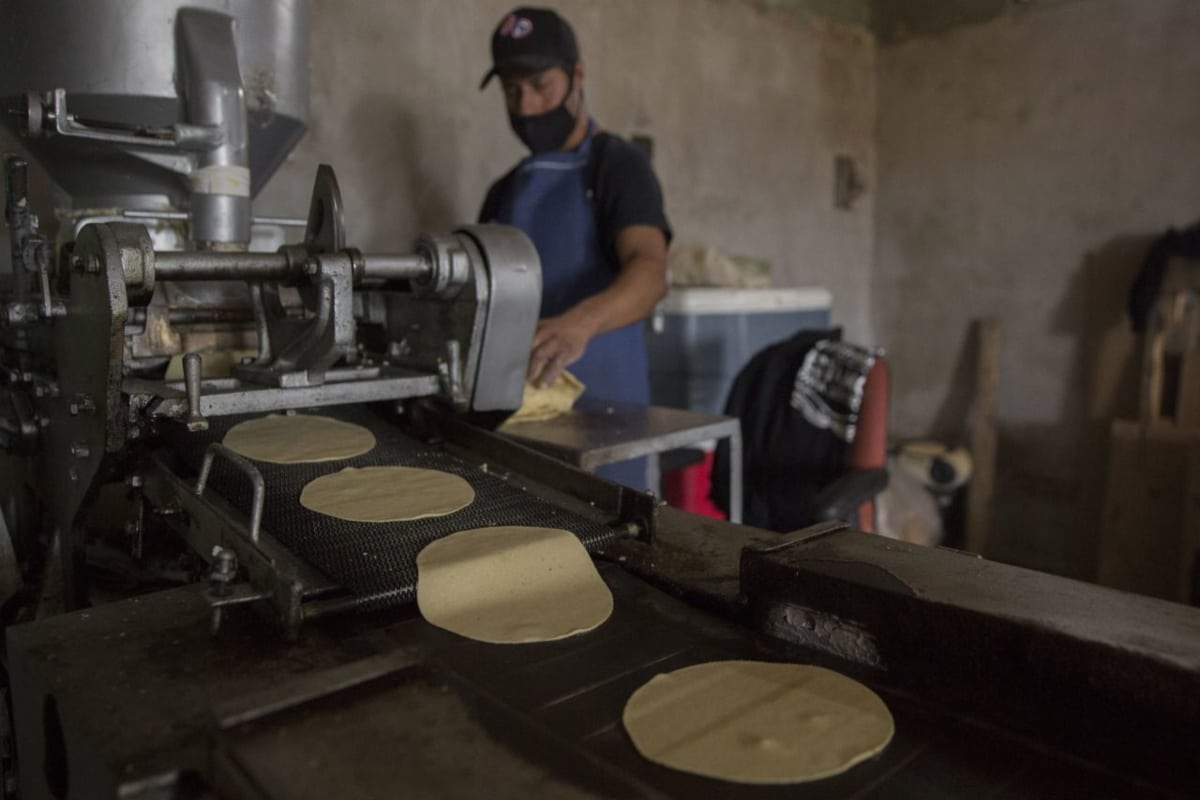 La empresa detalló que dicho incremento en el monto de ventas fue impulsado por todas sus subsidiarias, principalmente Estados Unidos