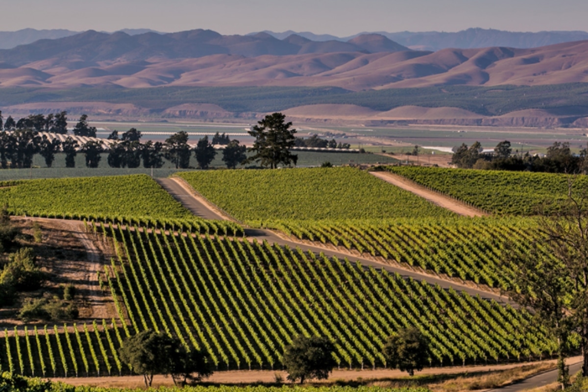 La increíble dinámica tiene validez hasta el próximo 31 de marzo, por lo que quienes deseen pueden comenzar a planear su viaje a región de la Costa Central de California que cuenta con 13 playas y 34 salas de degustación de vinos