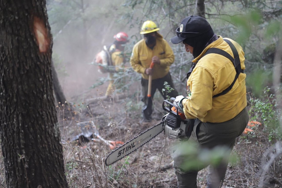 Hoy a la zona del incendio acudió la coordinadora Nacional de Protección Civil, Laura Velázquez Alzúa