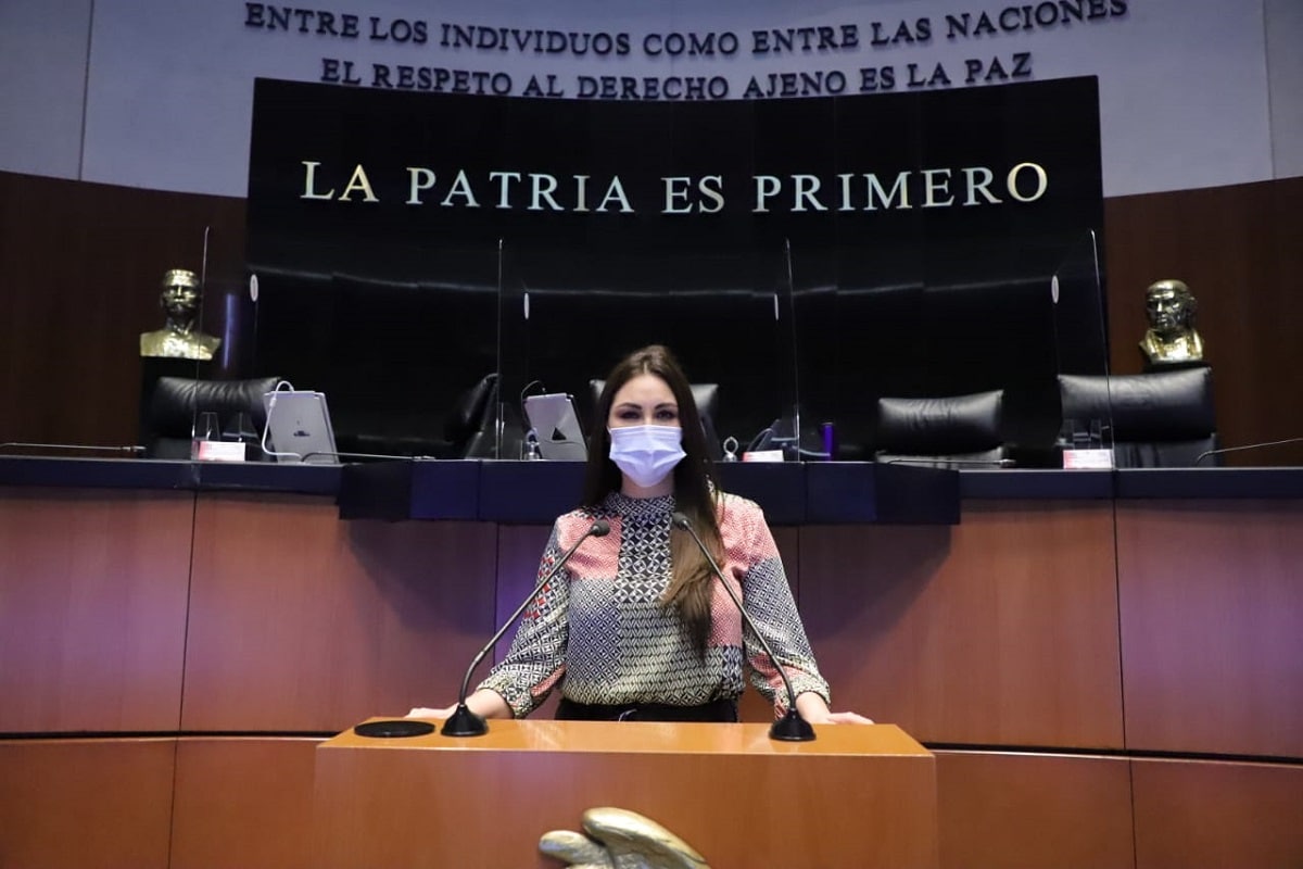 La senadora señaló que la propuesta se basa en el derecho humano a la energía eléctrica.