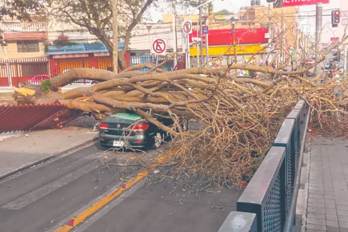 Árboles, ramas, bardas, lonas, domos de acrílico, líneas de luz y teléfono cortadas y autos dañados fueron el saldo en al menos ocho alcaldías