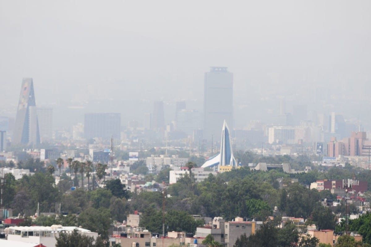 Contaminación CAMe