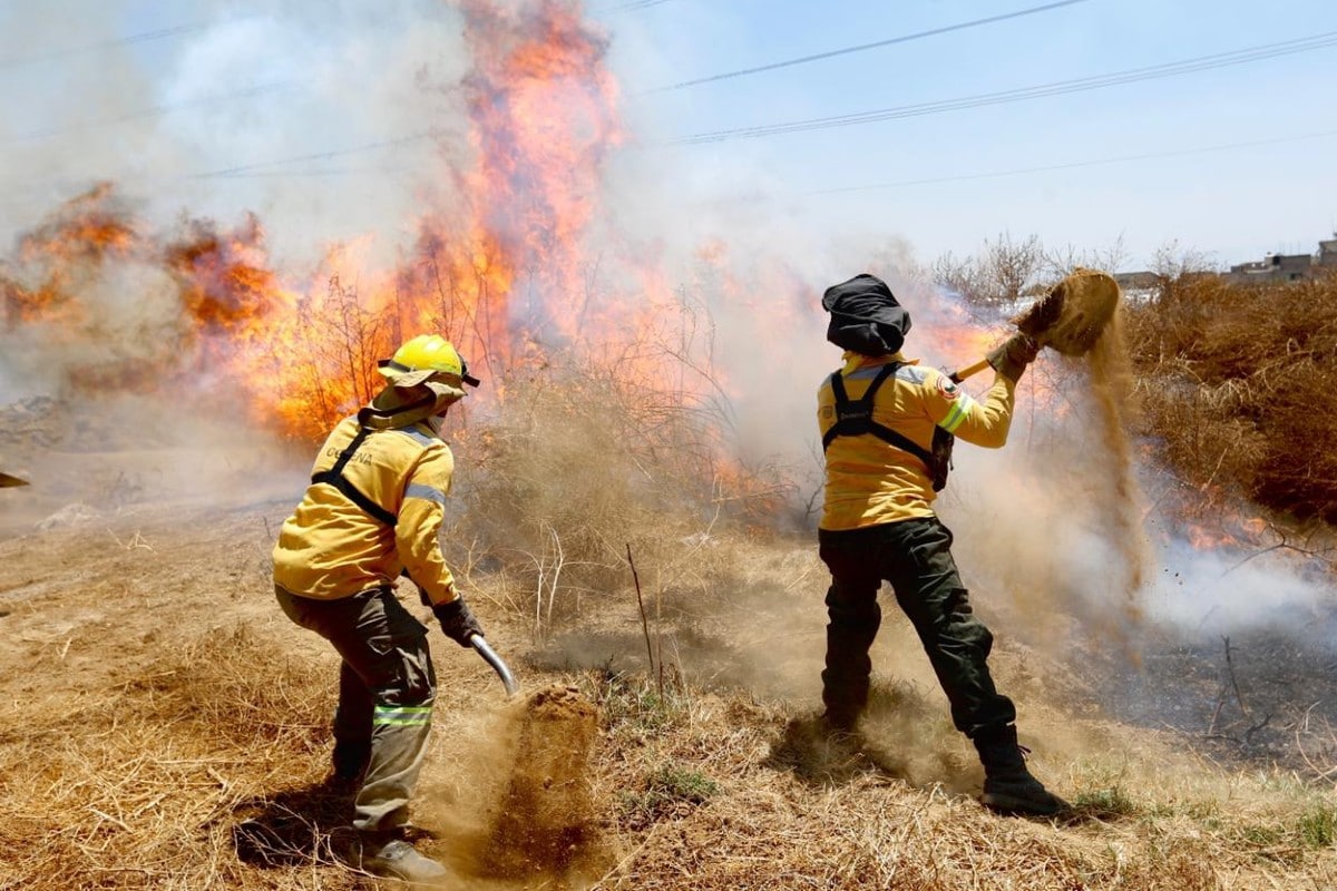 incendios