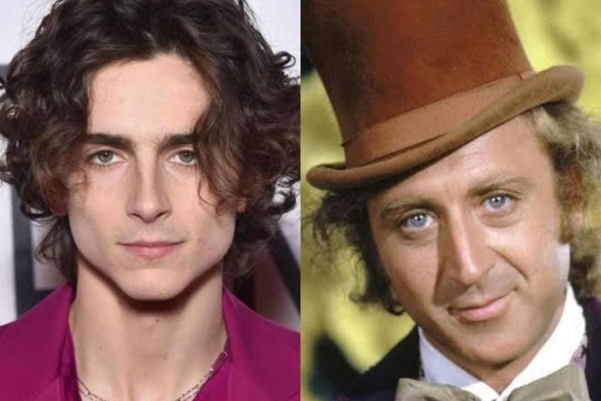 Timothée Chalamet será Willy Wonka