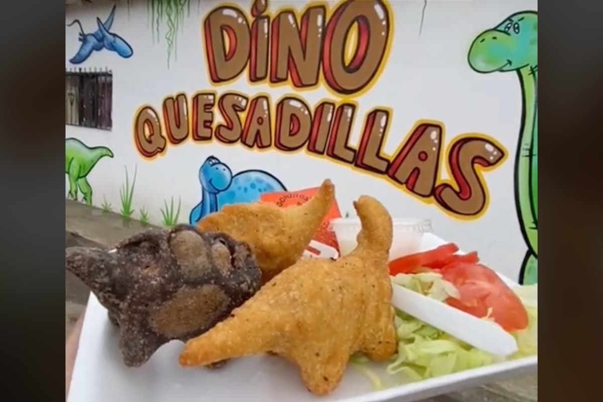 Dino Quesadillas en Coahuila