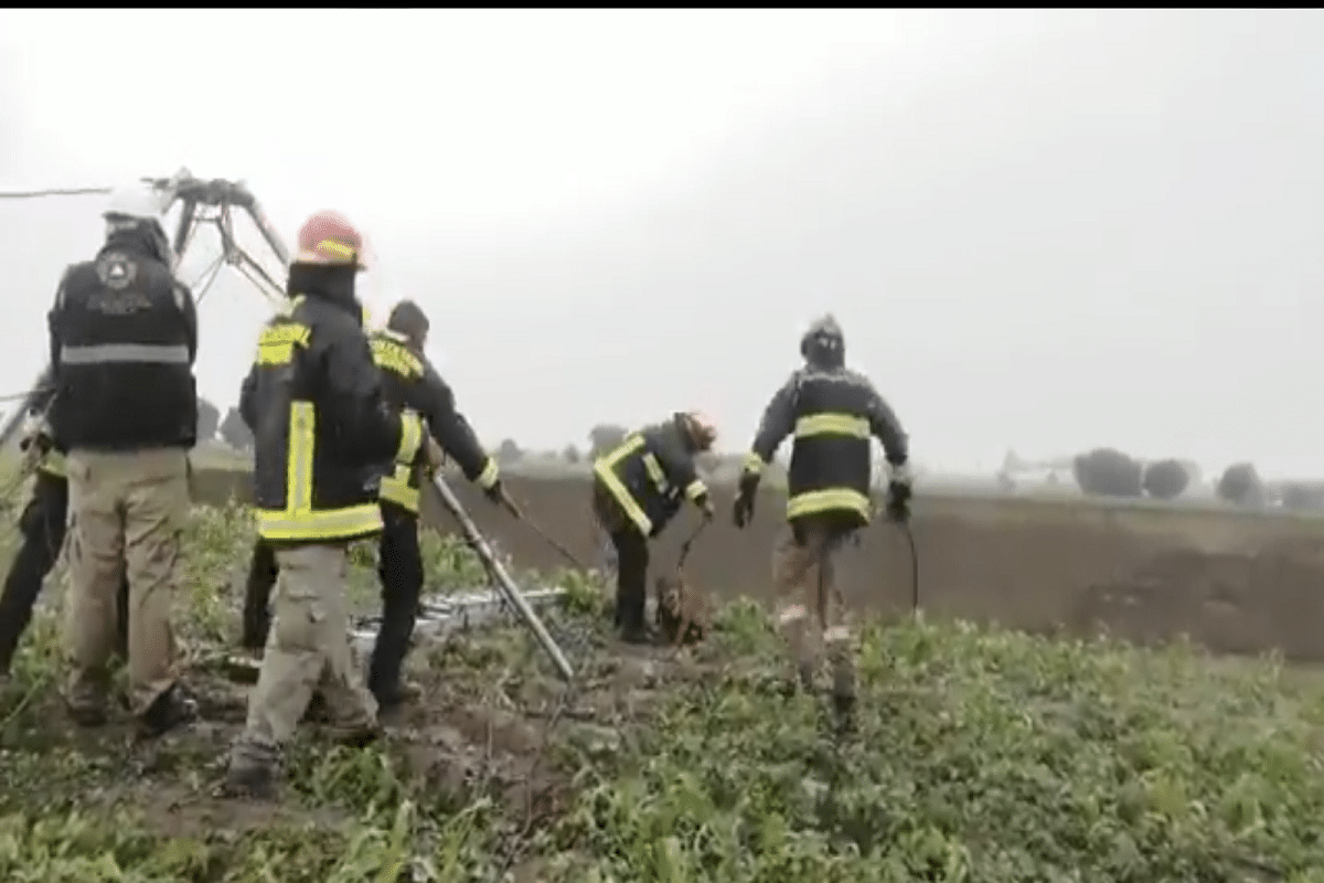 Rescate de perros en Puebla