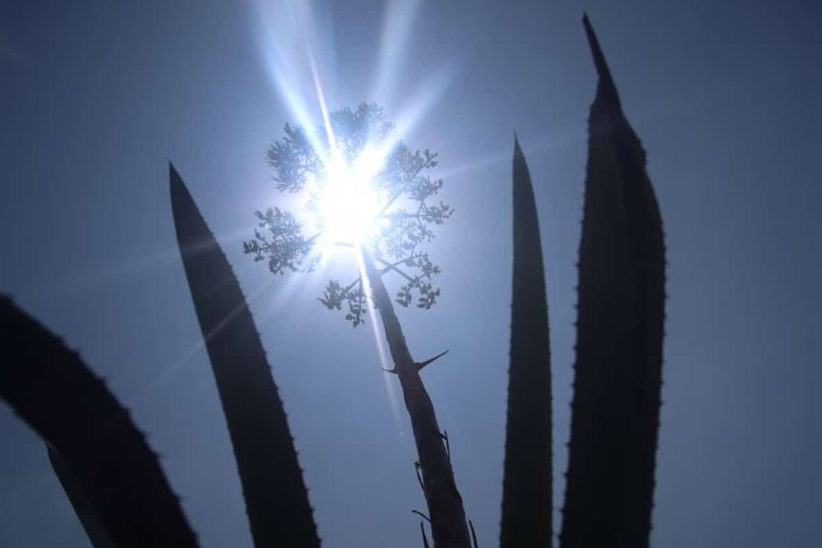 Inicia el solsticio de verano