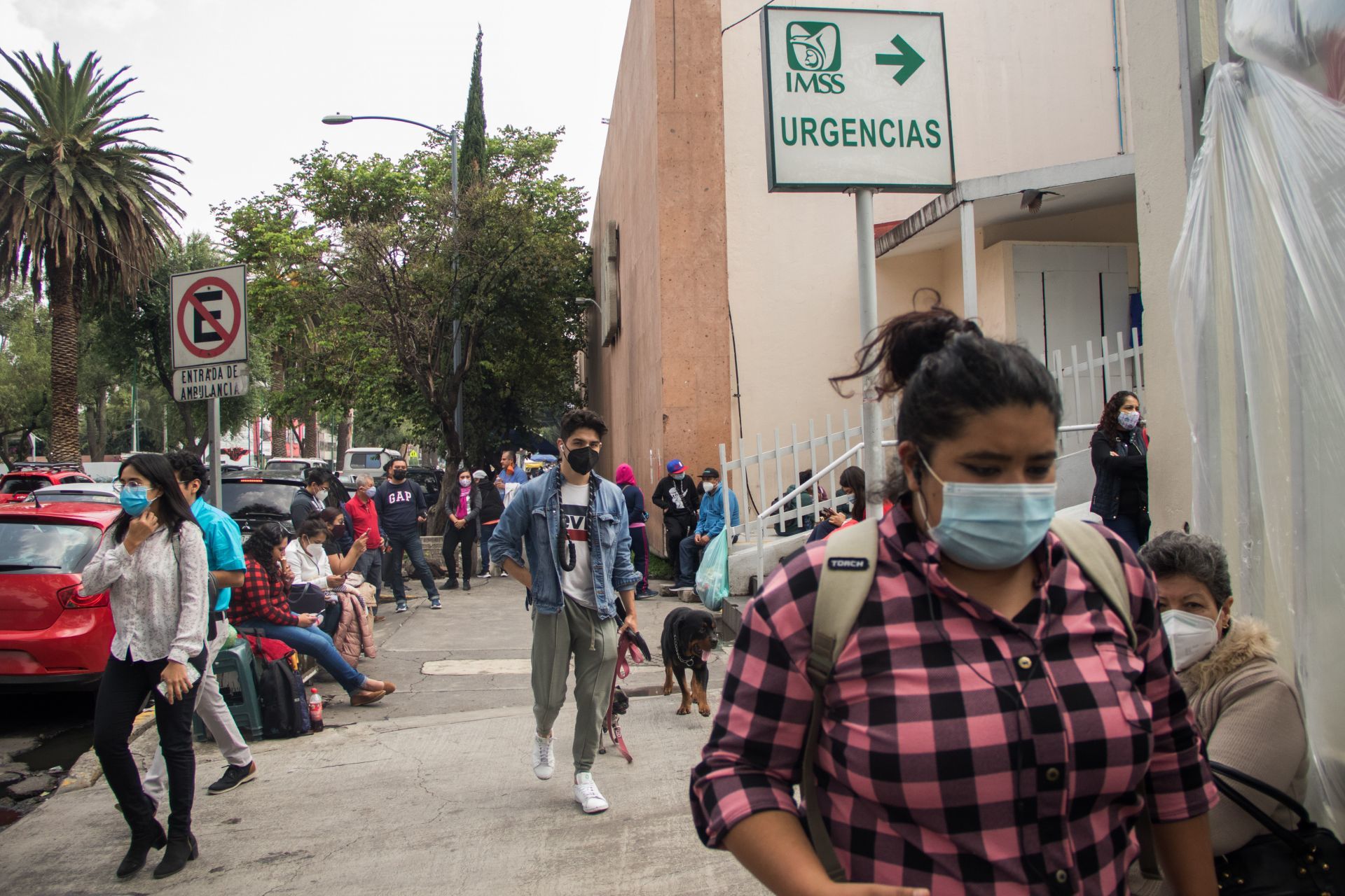 Este domingo se reporta la aplicación de 250 mil 707 dosis, que se acumulan a las 47 millones 197 mil 494 dosis totales aplicadas