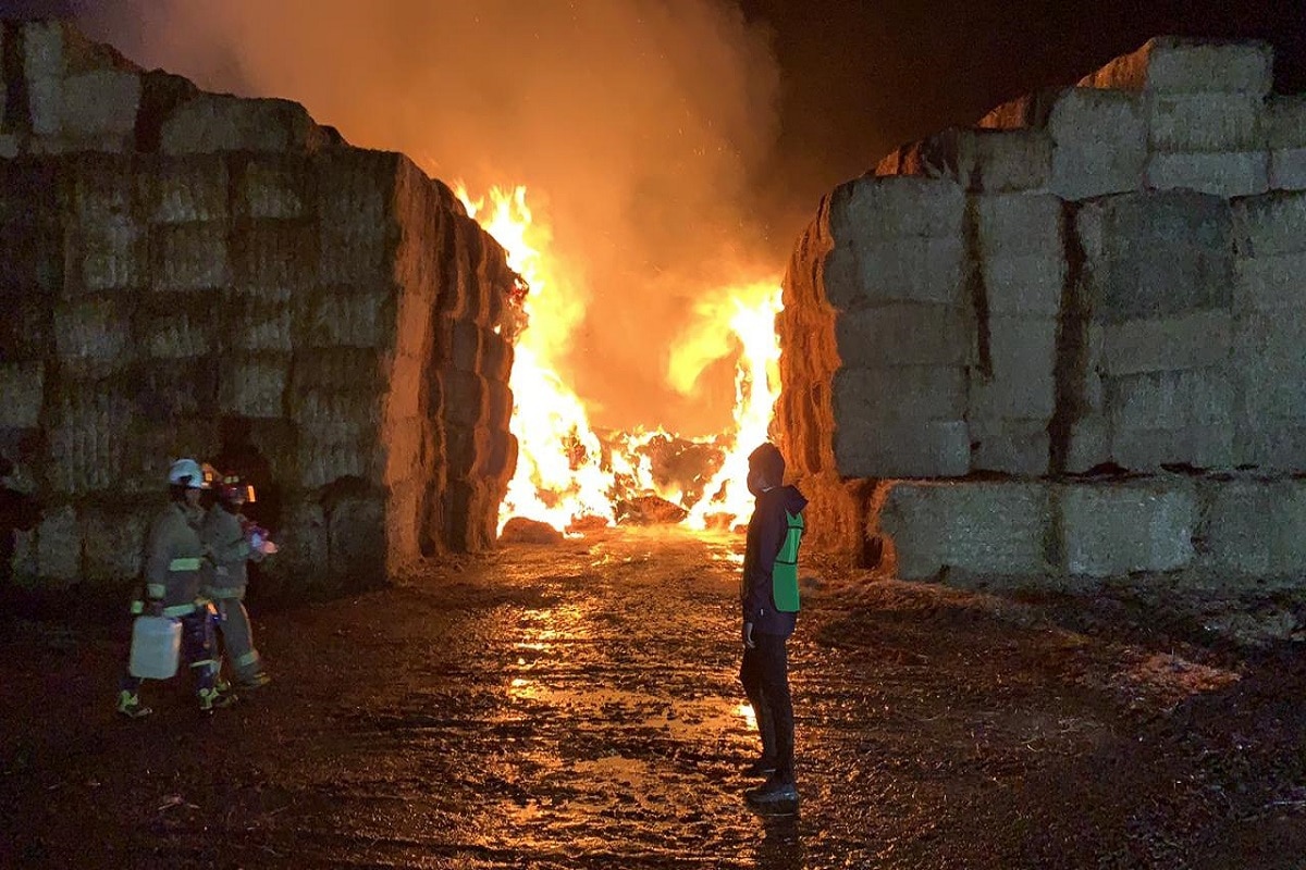 Se incendia fábrica de hongos