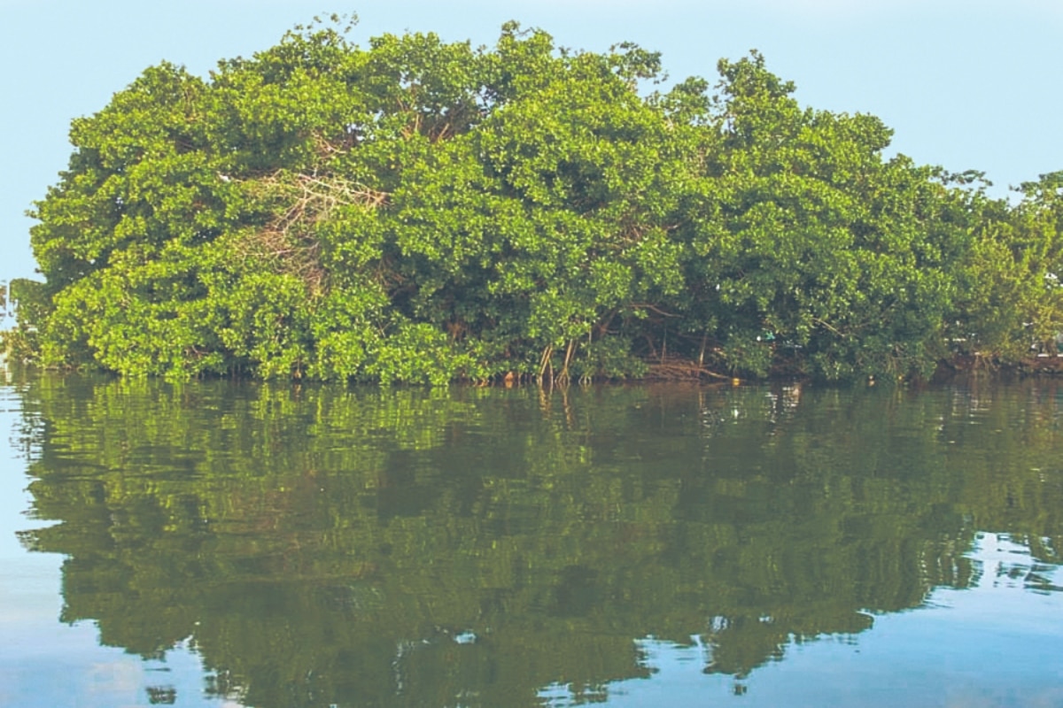 quintana roo