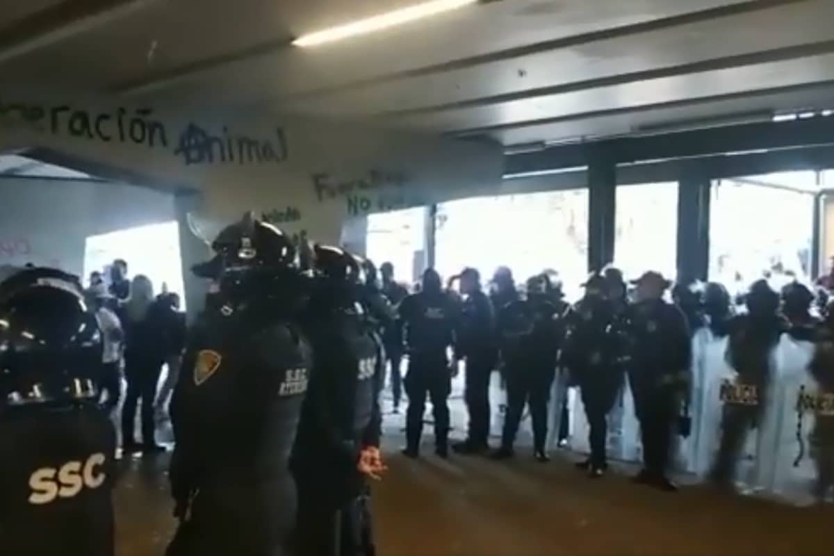 Foto: captura | Elementos de seguridad arribaron a la Glorieta de Insurgentes, donde se enfrentaron dos bloques de manifestantes.