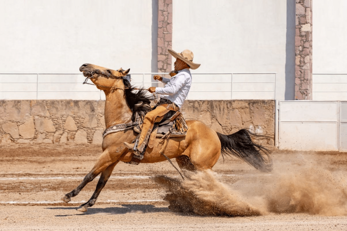 Cerca de 150 equipos listos para participar en el Congreso y Campeonato Nacional Charro