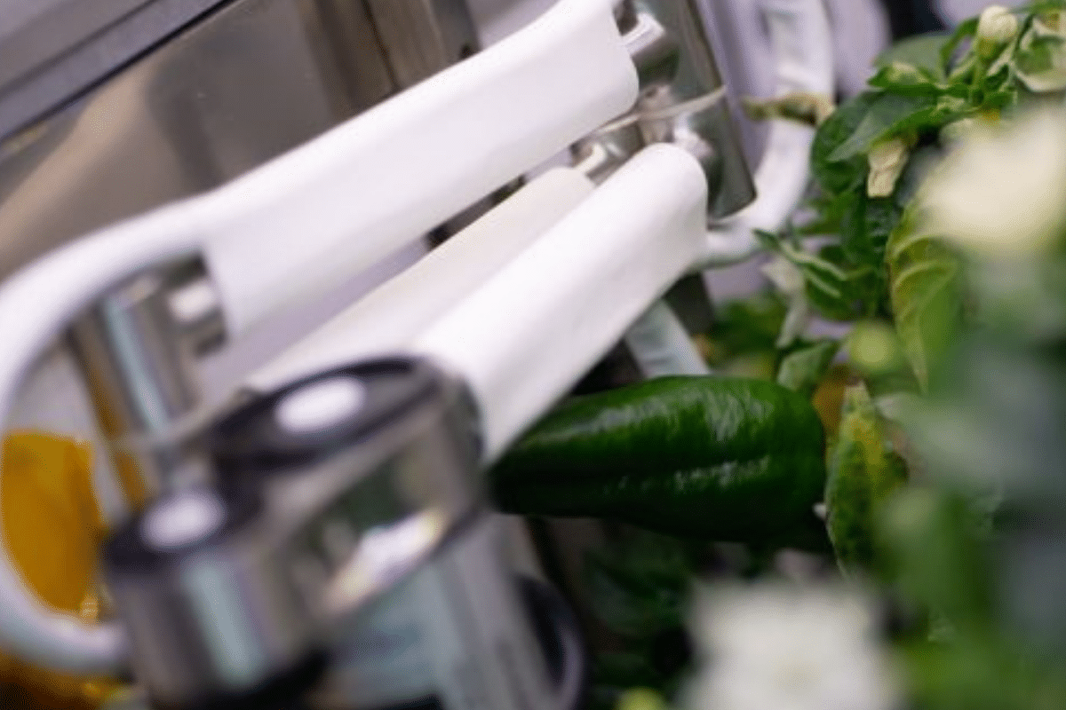 Nacen chiles cultivados por la NASA ¡¡en el espacio!!