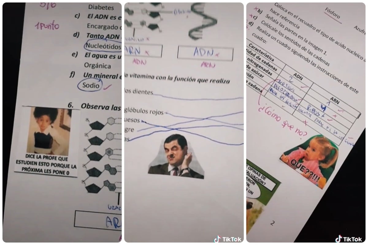 Maestra califica con memes.