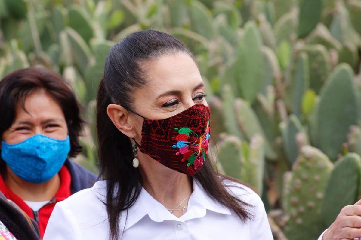 Sheinbaum visita cultivo de nopal y verdura en Milpa Alta