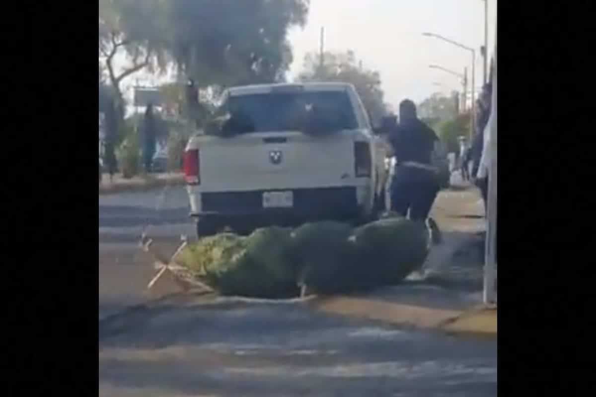 Roban camioneta con todo y arbolito de Navidad