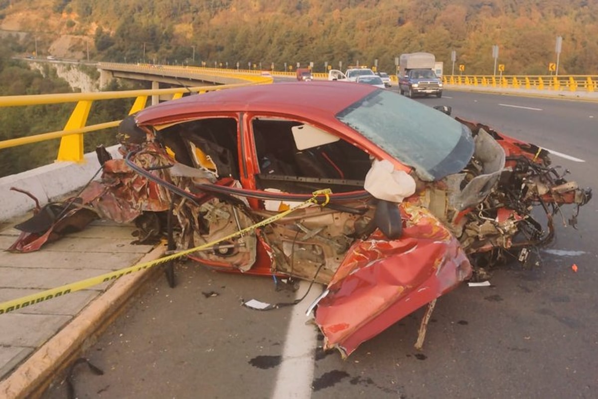 Foto: redes | Al interior del auto viajaba un hombre junto a su perrito.