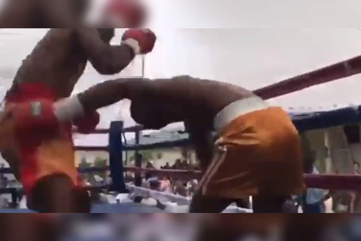 boxeador