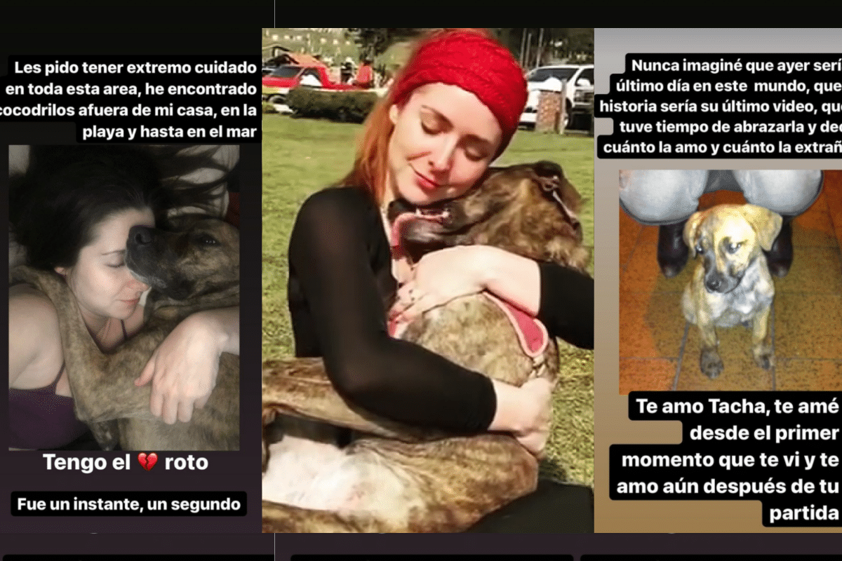 Foto: Instagram@ariadne_diaz | La actriz de 36 años dice estar "con el corazón roto" tras perder a su perrita Tacha