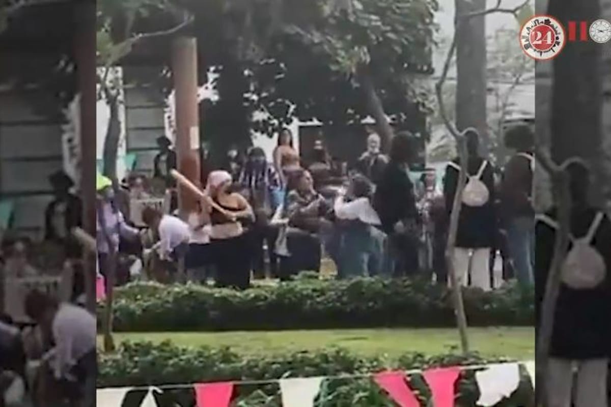 Foto: captura | Las feministas agredieron al hombre tras cruzar por una zona "exclusiva" en un parque.