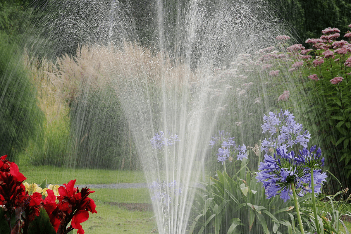 Foto: Pixabay | Multarán a vecindarios de clase alta por desperdicio de agua