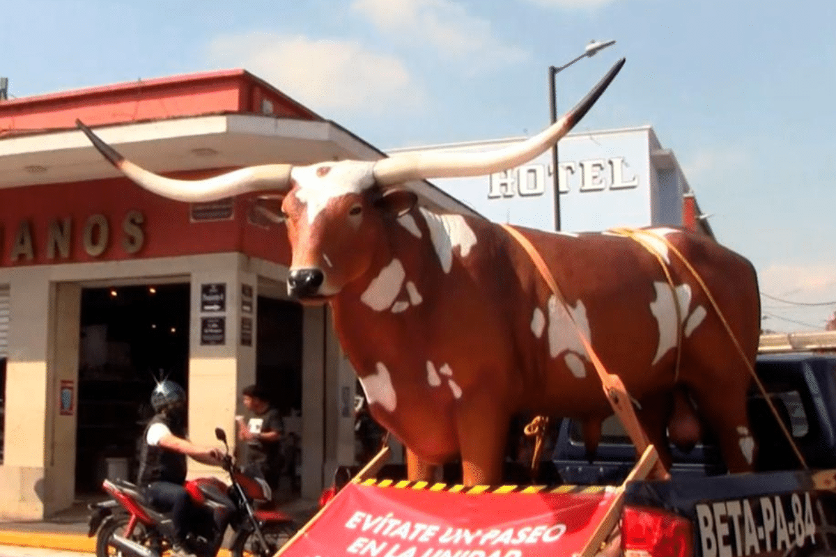 Foto: Twitter/ @EnfoquesEnCorto | Con una estatua de buey promueven en uso de cubrebocas