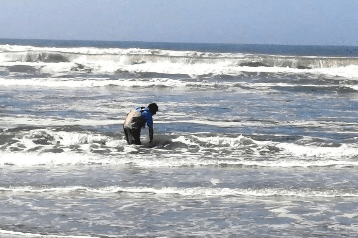 Foto: Twitter@rojas_cerron | La erupción de un volcán submarino en Tonga provocó un "oleaje anómalo" en una playa al norte de Perú