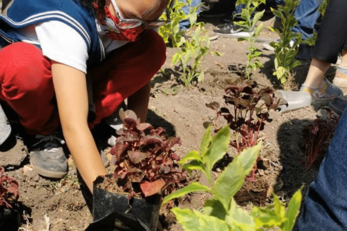 sustentabilidad