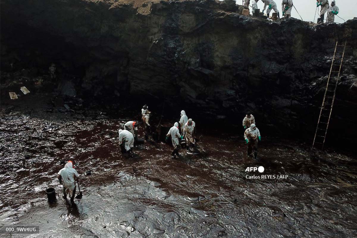 Sombrío balance de derrame petrolero en Perú: aves muertas y pescadores sin trabajo