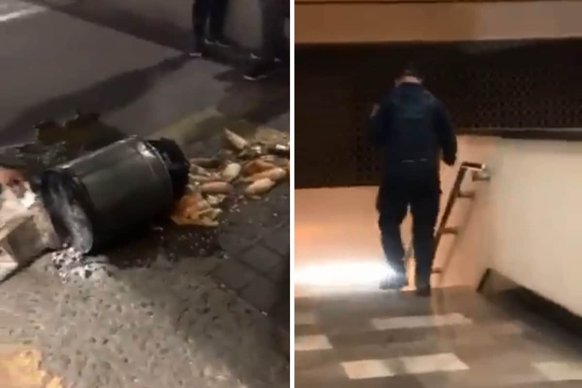 Foto: captura | El policía fue culpado de tirar los tamales del vendedor.